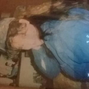 Meet your Posher, Wanda